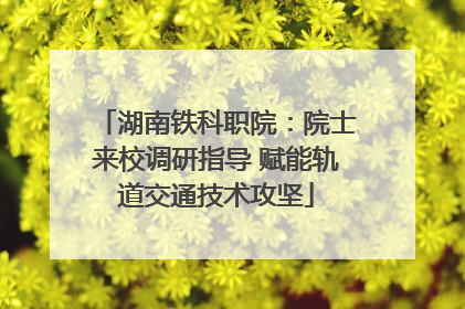 湖南铁科职院：院士来校调研指导 赋能轨道交通技术攻坚